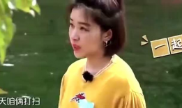 娱乐圈吵架爆料的明星,明星争吵背后的真相揭秘